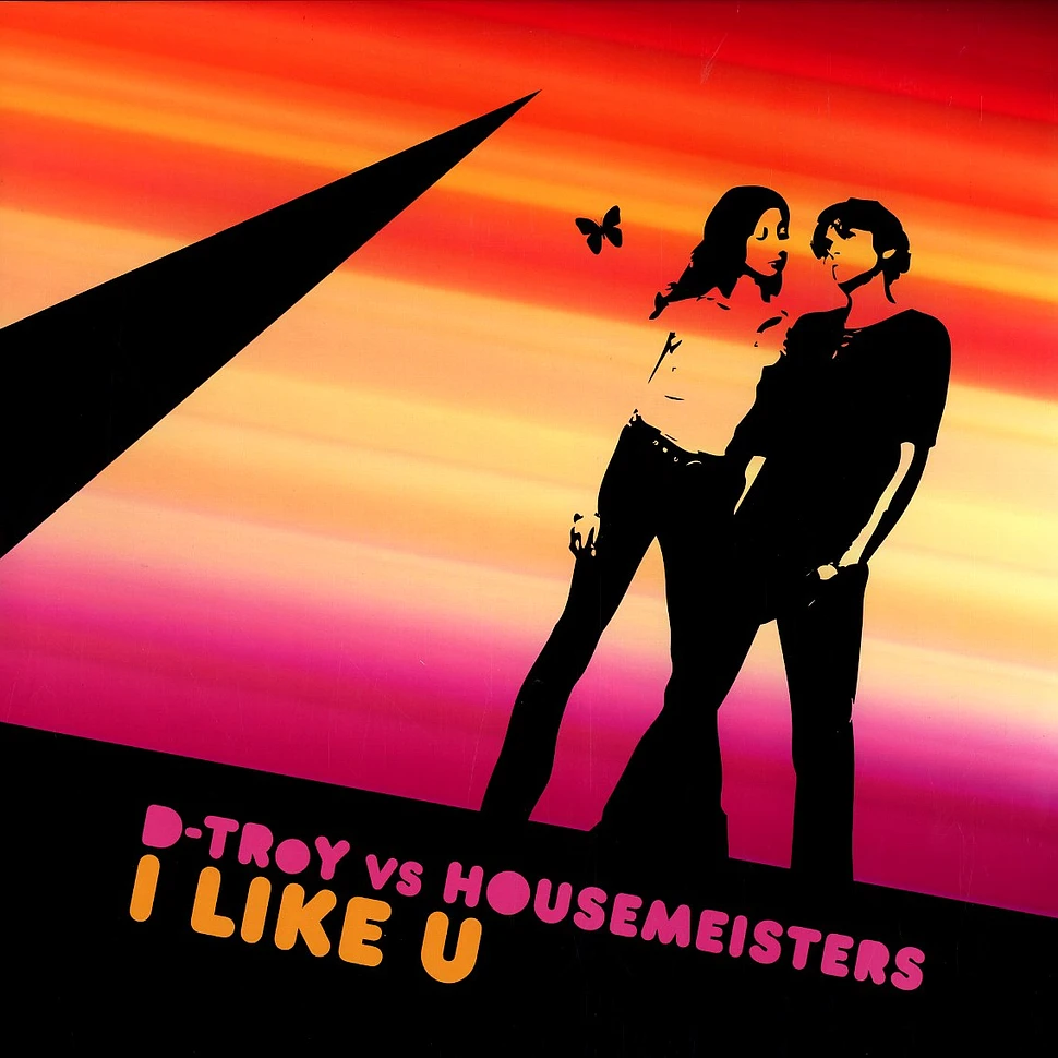 D-Troy vs Housemeister - I like u