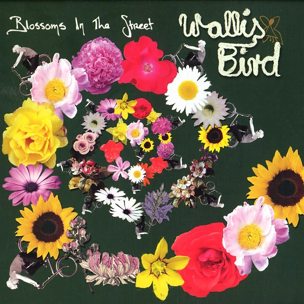 Wallis Bird - Blossoms in the street