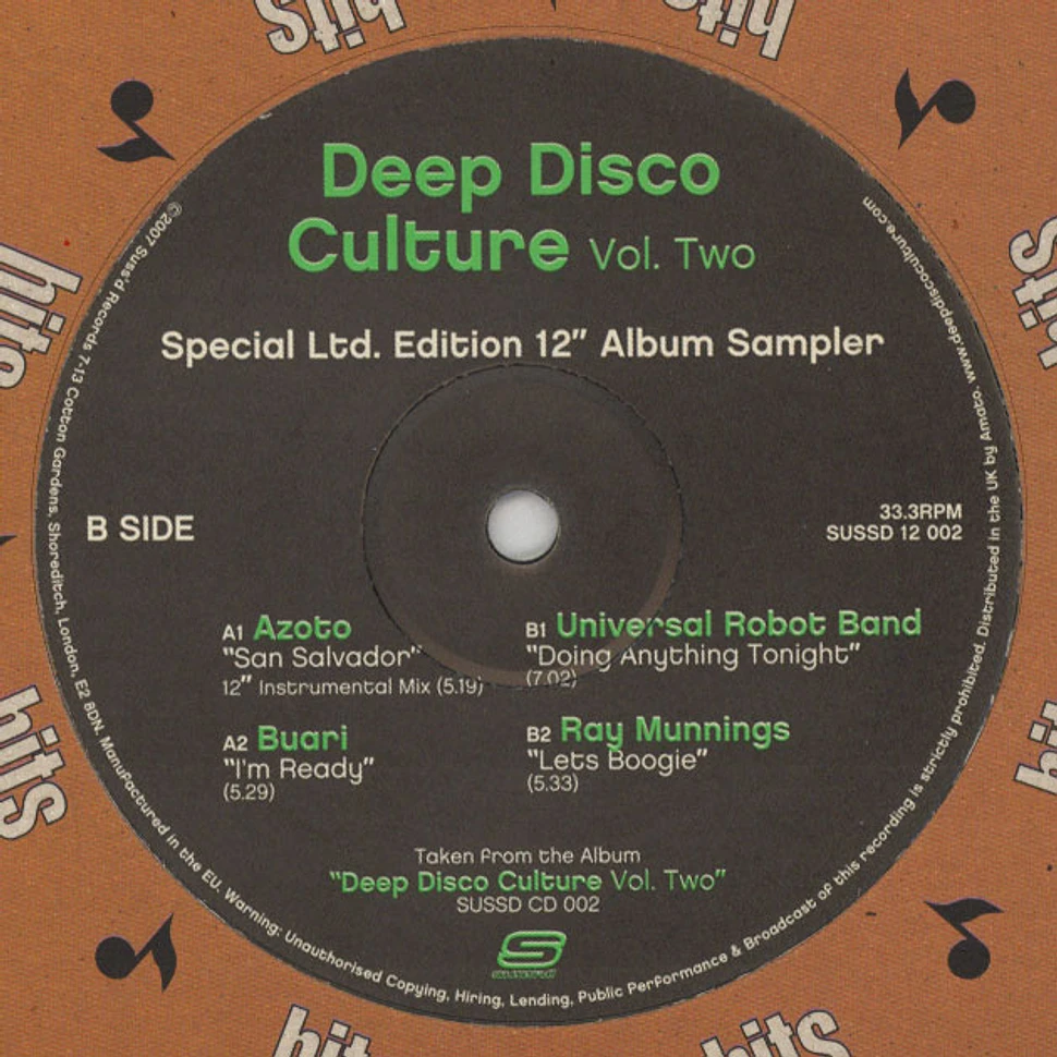 Deep Disco Culture - Volume 2 Part 1