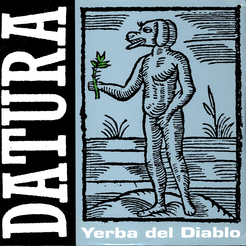Datura - Yerba Del Diablo