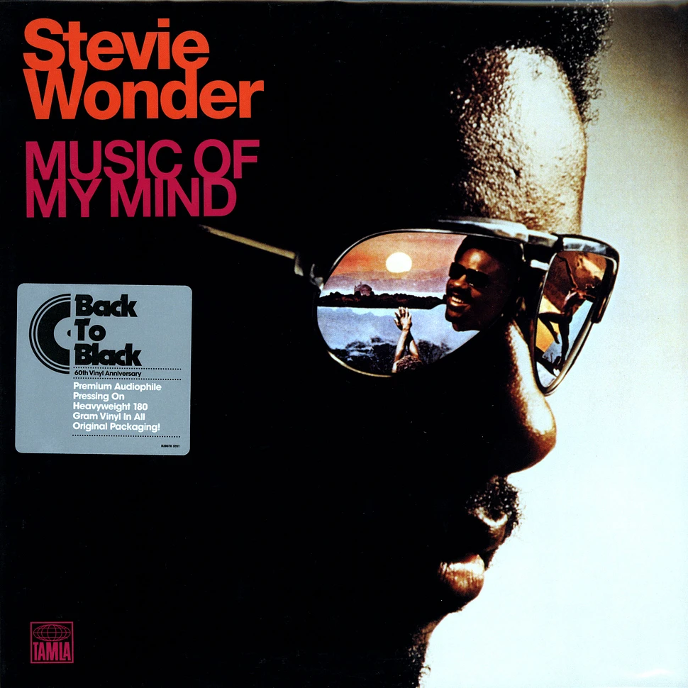 Stevie Wonder - Music of my mind