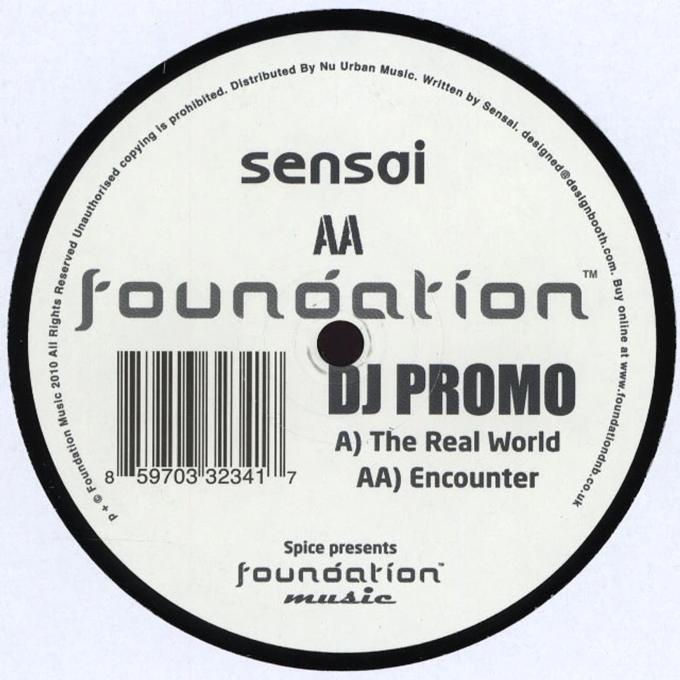 Sensai - The Real World / Encounter