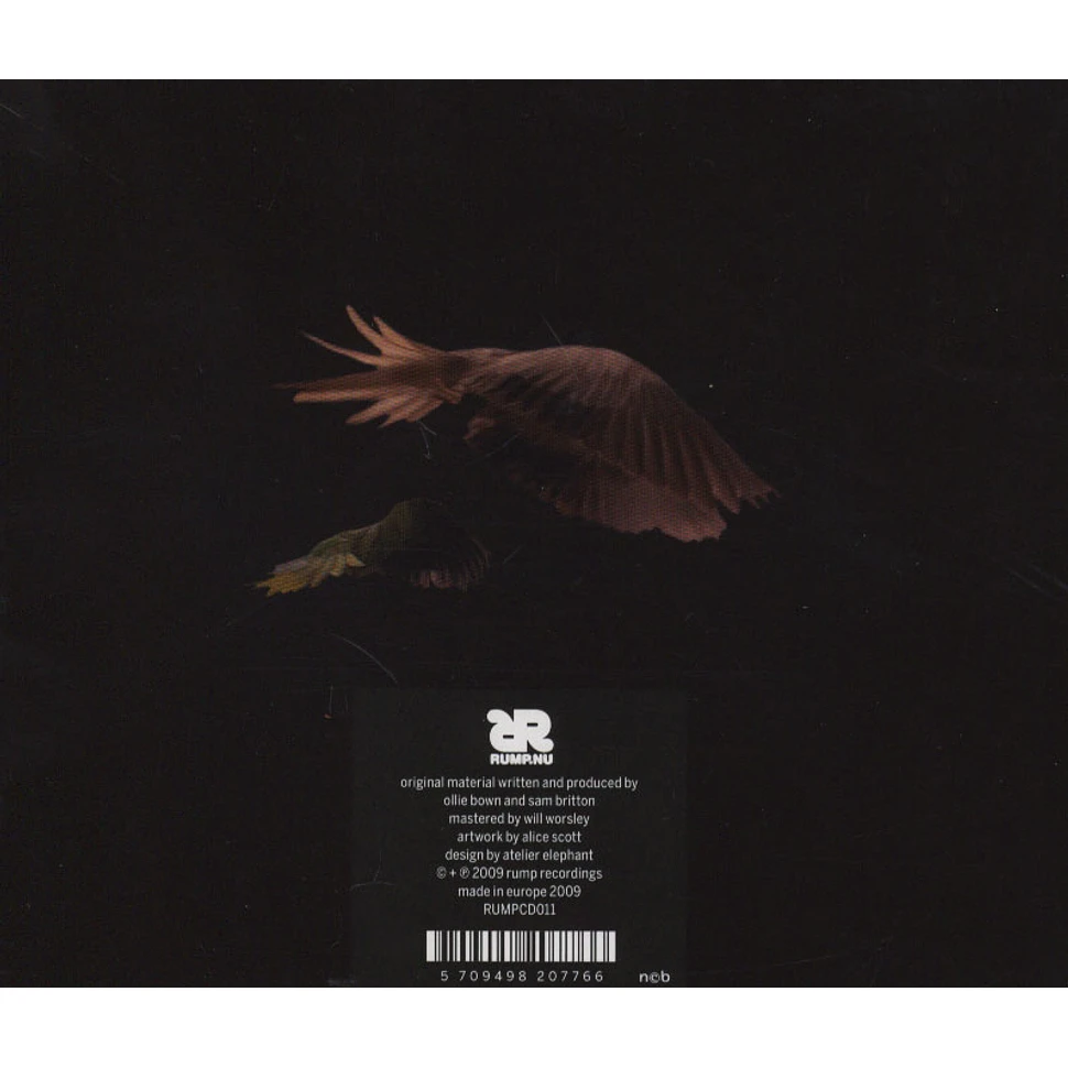 Icarus - Sylt Remixes