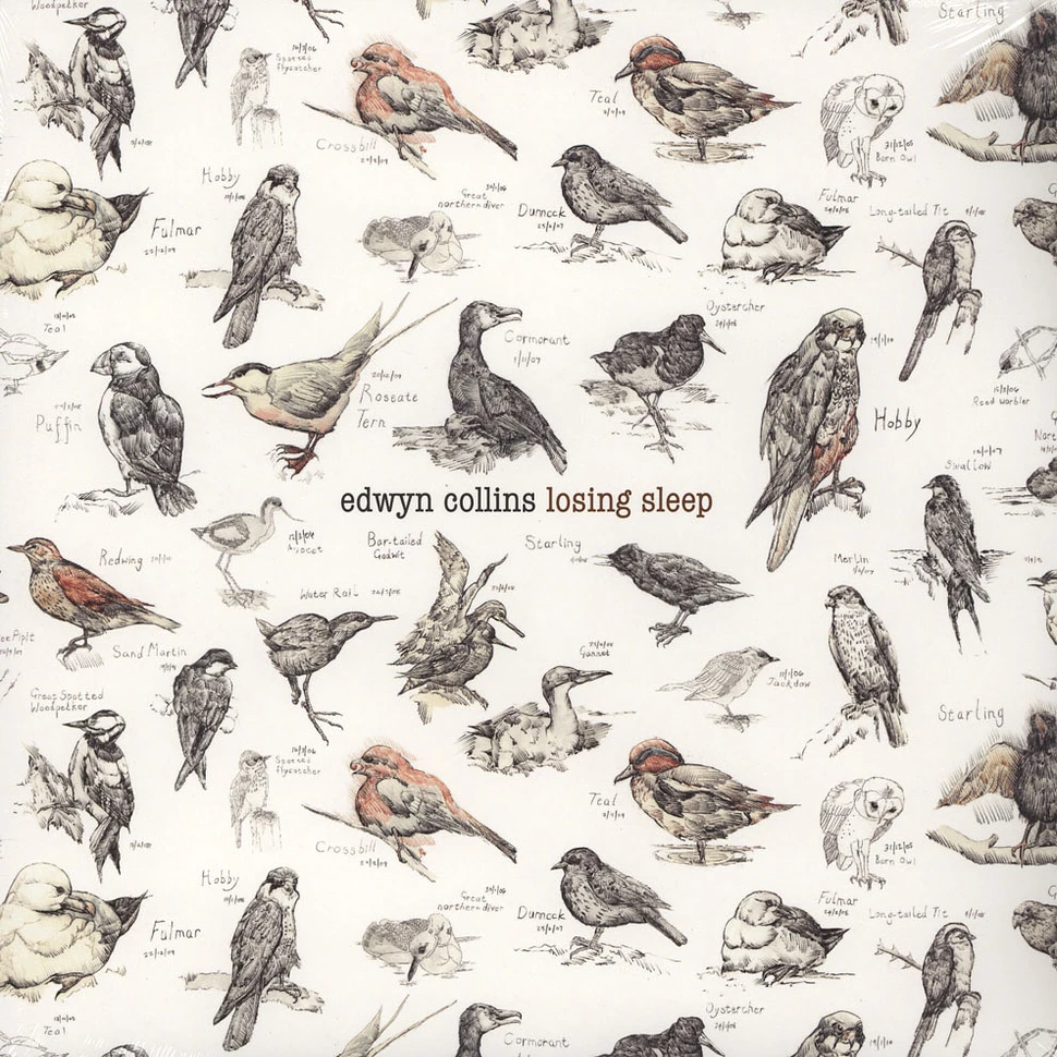 Edwyn Collins - Losing Sleep