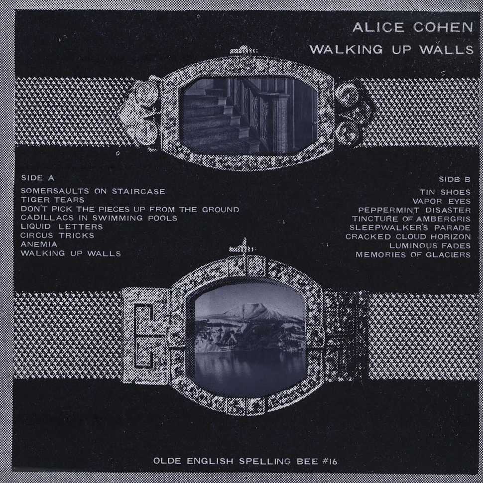 Alice Cohen - Walking Up Walls