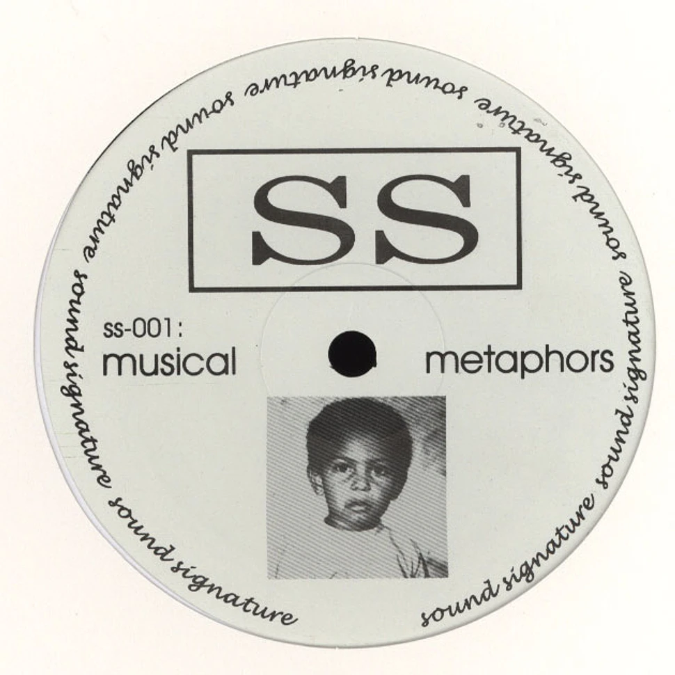 Theo Parrish - Musical Metaphors