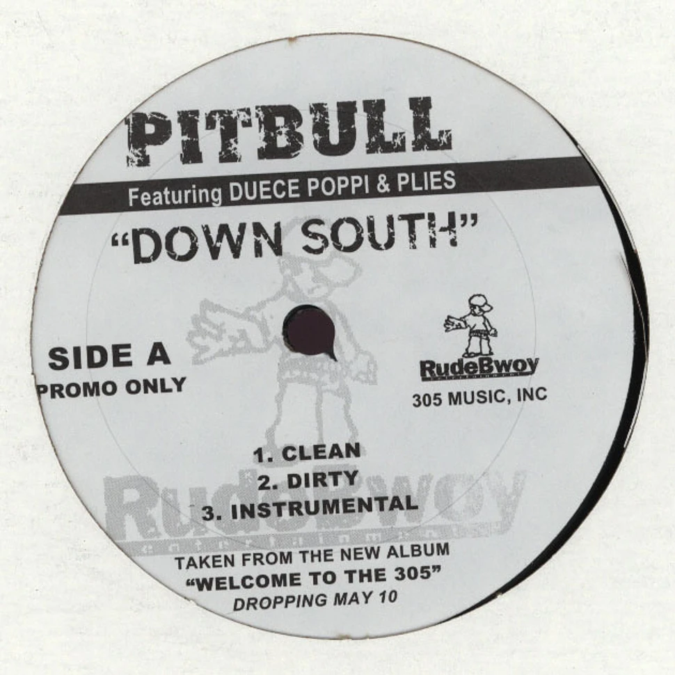Pitbull - Down south feat. Duece Poppi & Plies