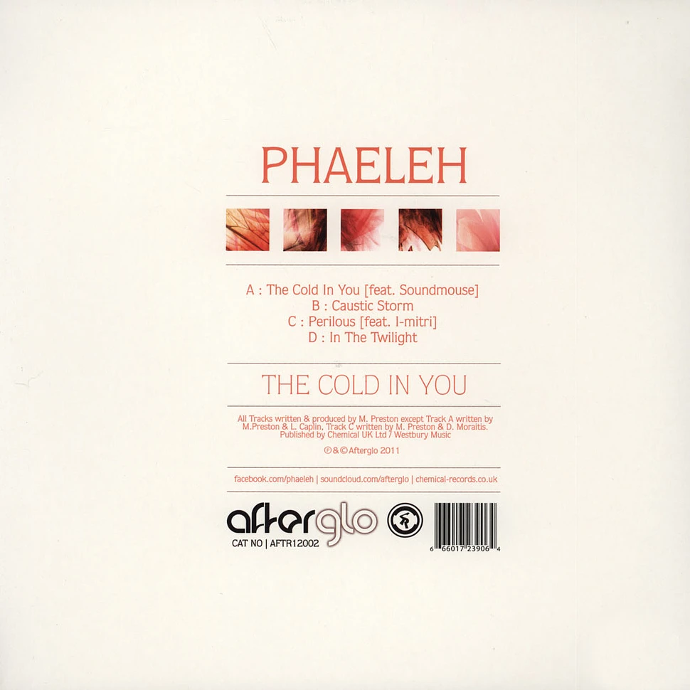 Phaeleh - The Cold In You