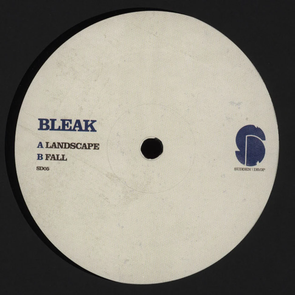 Bleak - Landscape