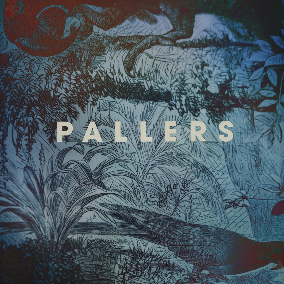 Pallers - The Sea Of Memories