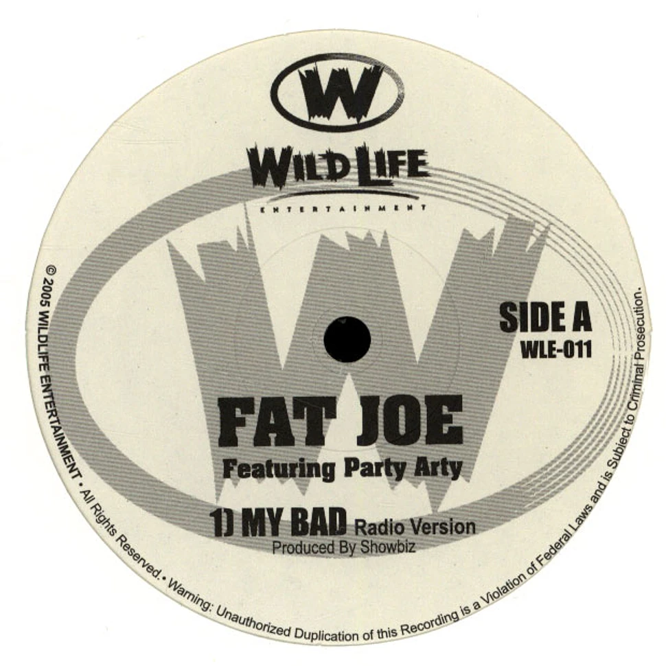 Fat Joe - My Bad