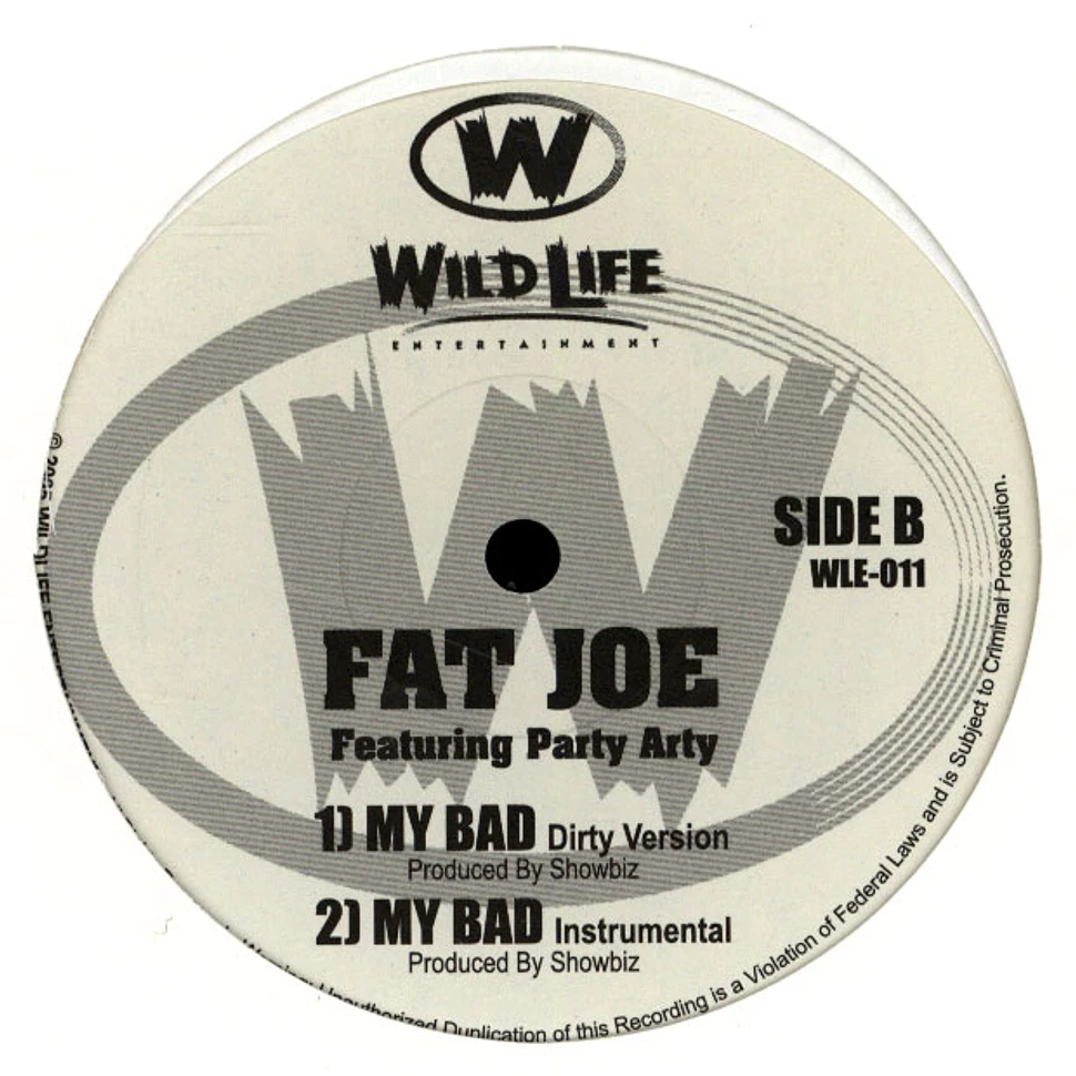 Fat Joe - My Bad