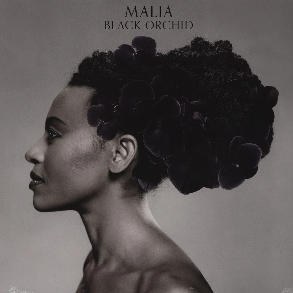 Malia - Black Orchid