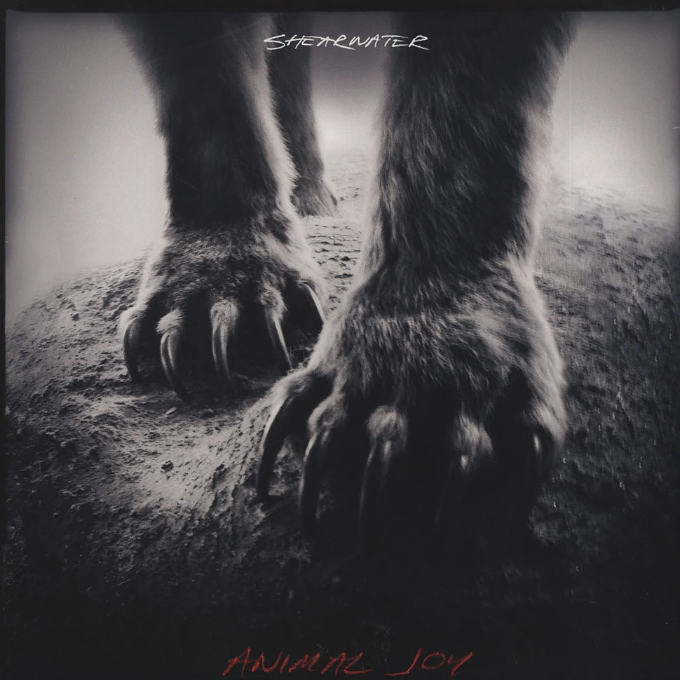 Shearwater - Animal Joy