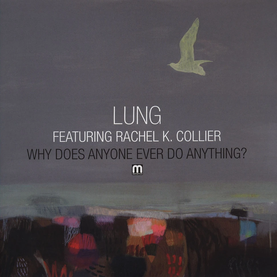 Lung - Why Does Anyone Ever Do Anything? feat. Rachel K Collier