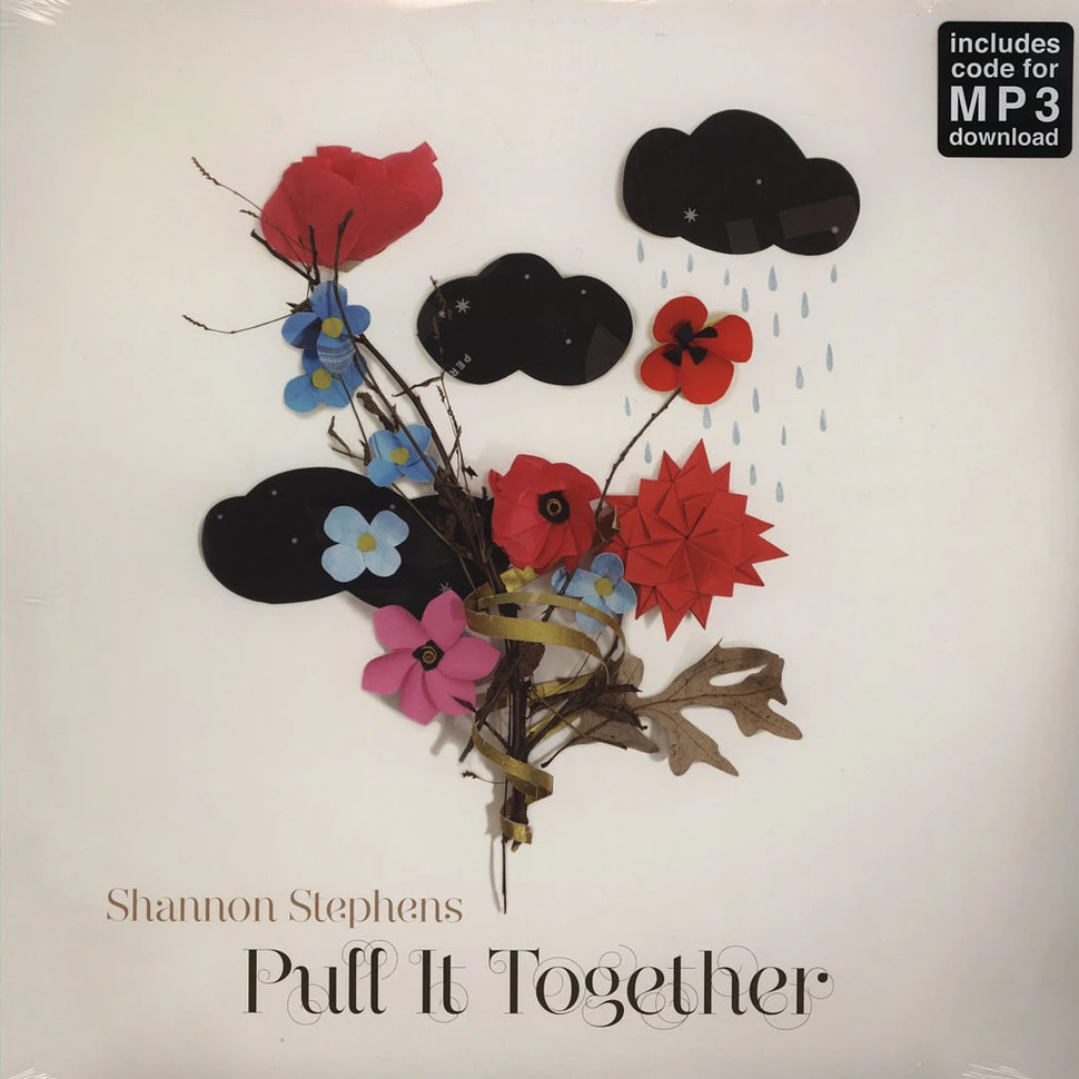 Shannon Stephens - Put It Together
