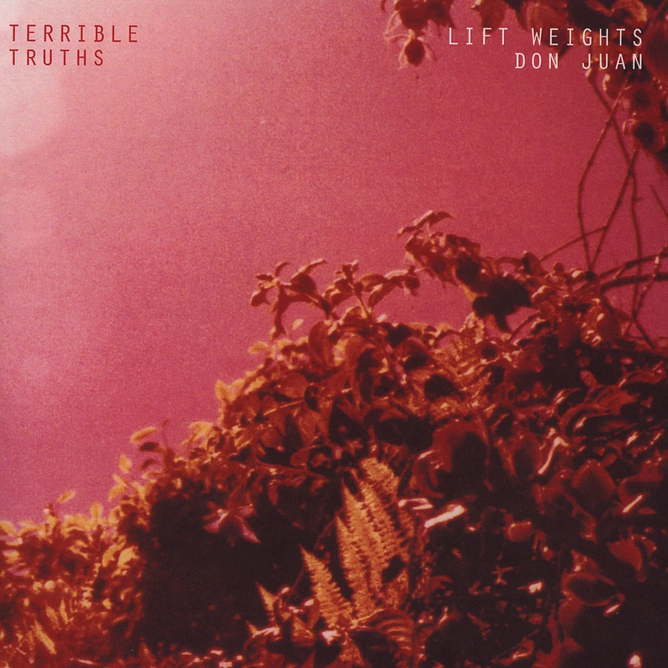 Terrible Truths - Lift Weights