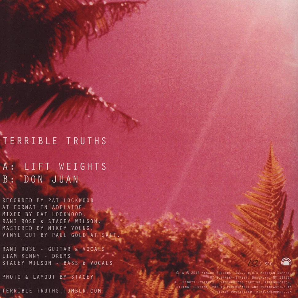 Terrible Truths - Lift Weights