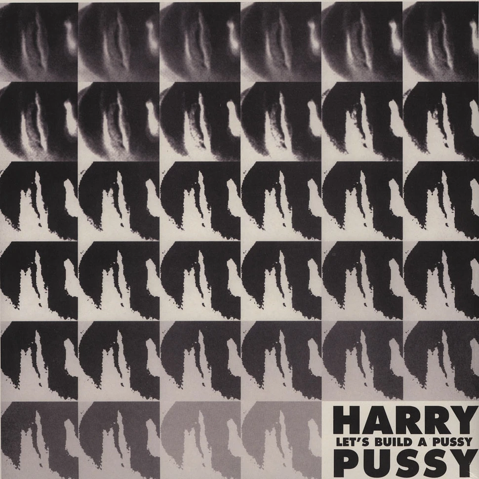Harry Pussy - Let's Build A Pussy
