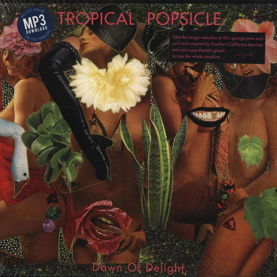 Tropical Popsicle - Dawn Of Delight