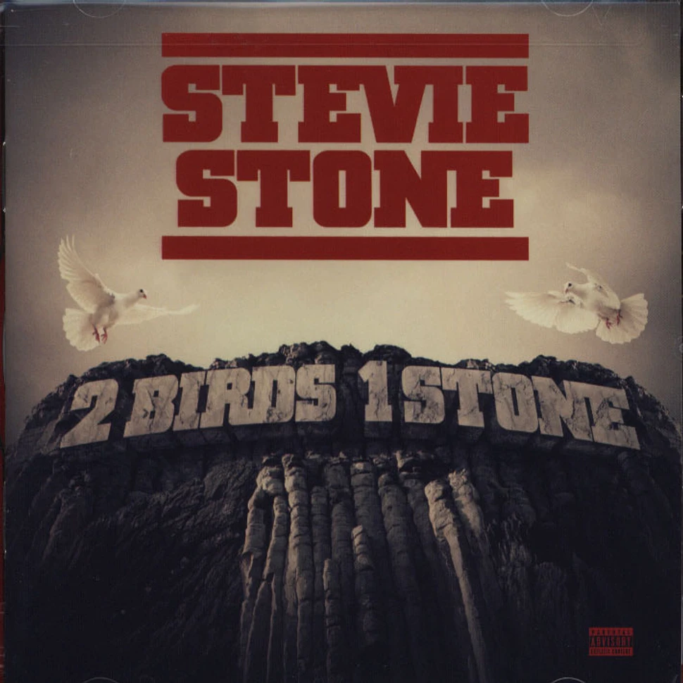 Stevie Stone - 2 Birds 1 Stone