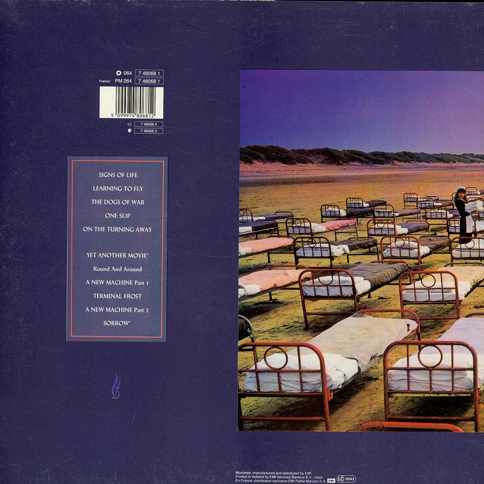 Pink Floyd - A Momentary Lapse Of Reason