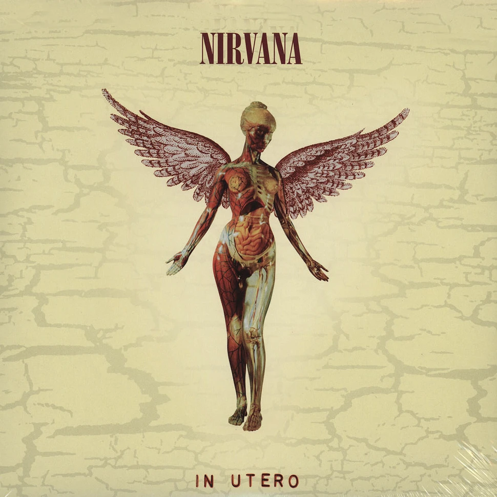 Nirvana - In Utero 20th Anniversary Edition