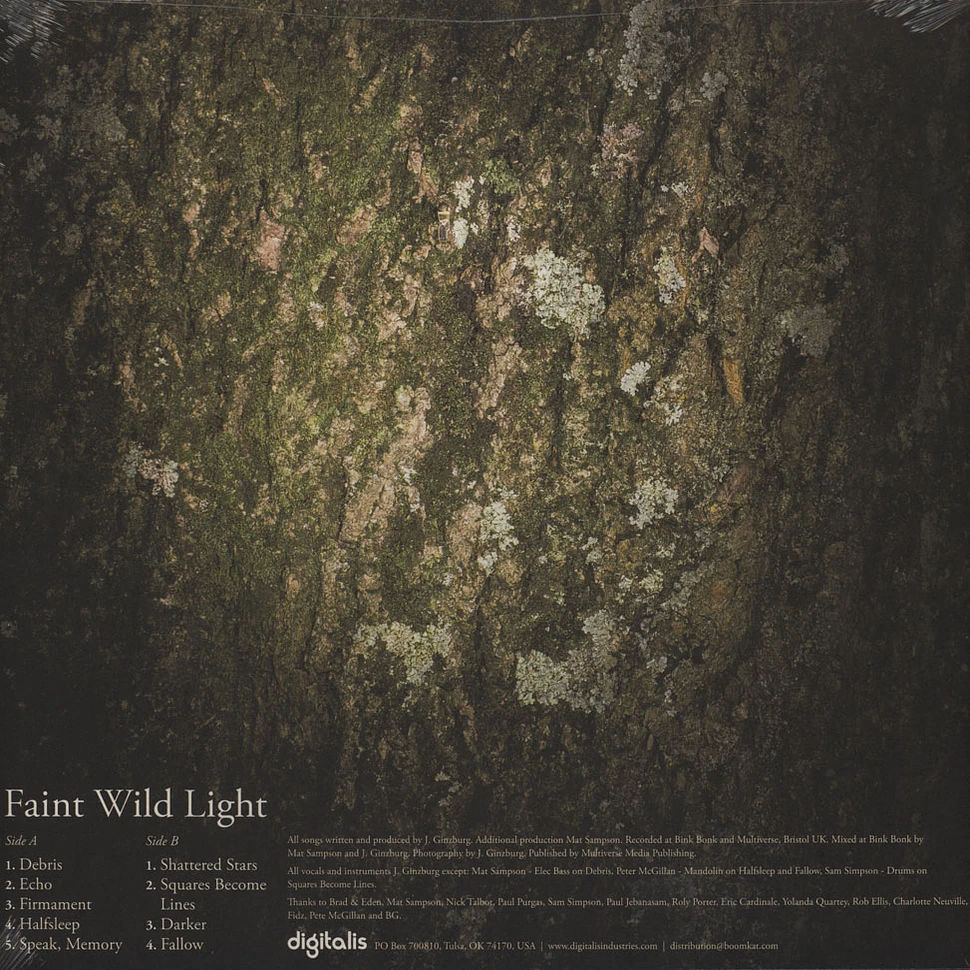 Faint Wild Light - Faint Wild Light