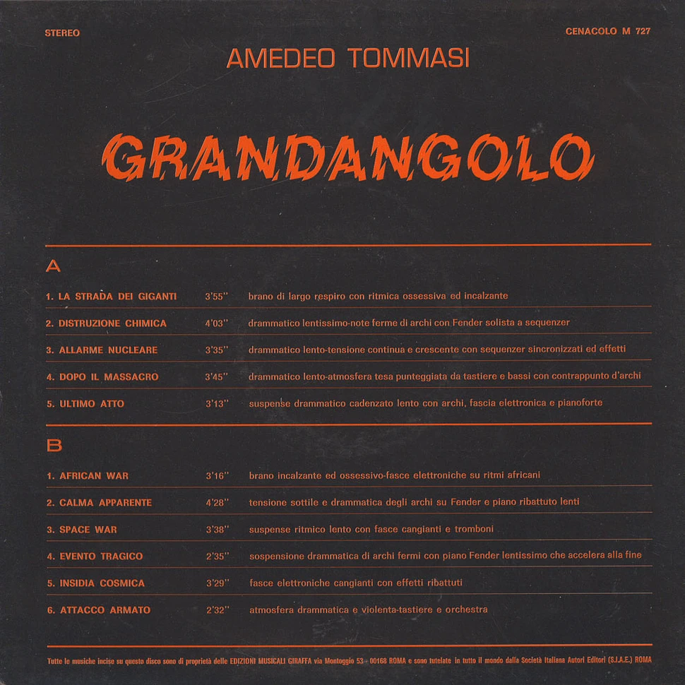 Amedeo Tommasi - Grandangolo