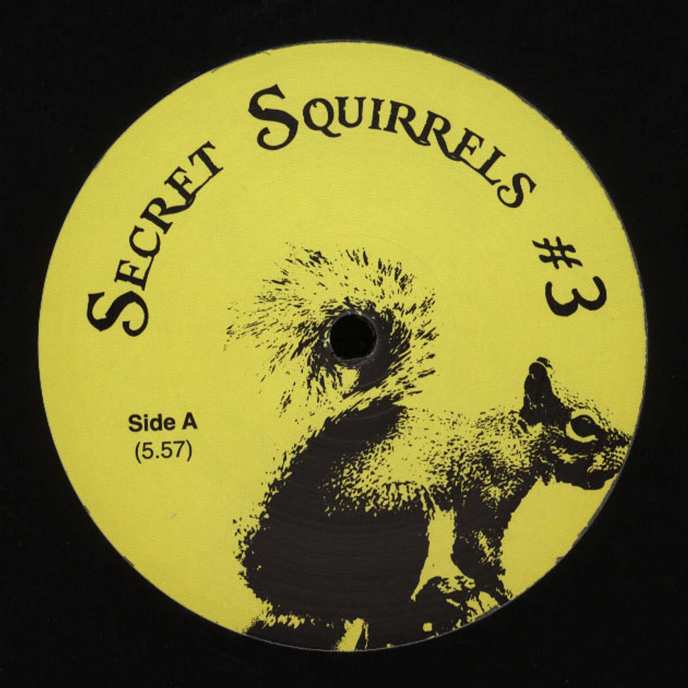 Secret Squirrels - #3