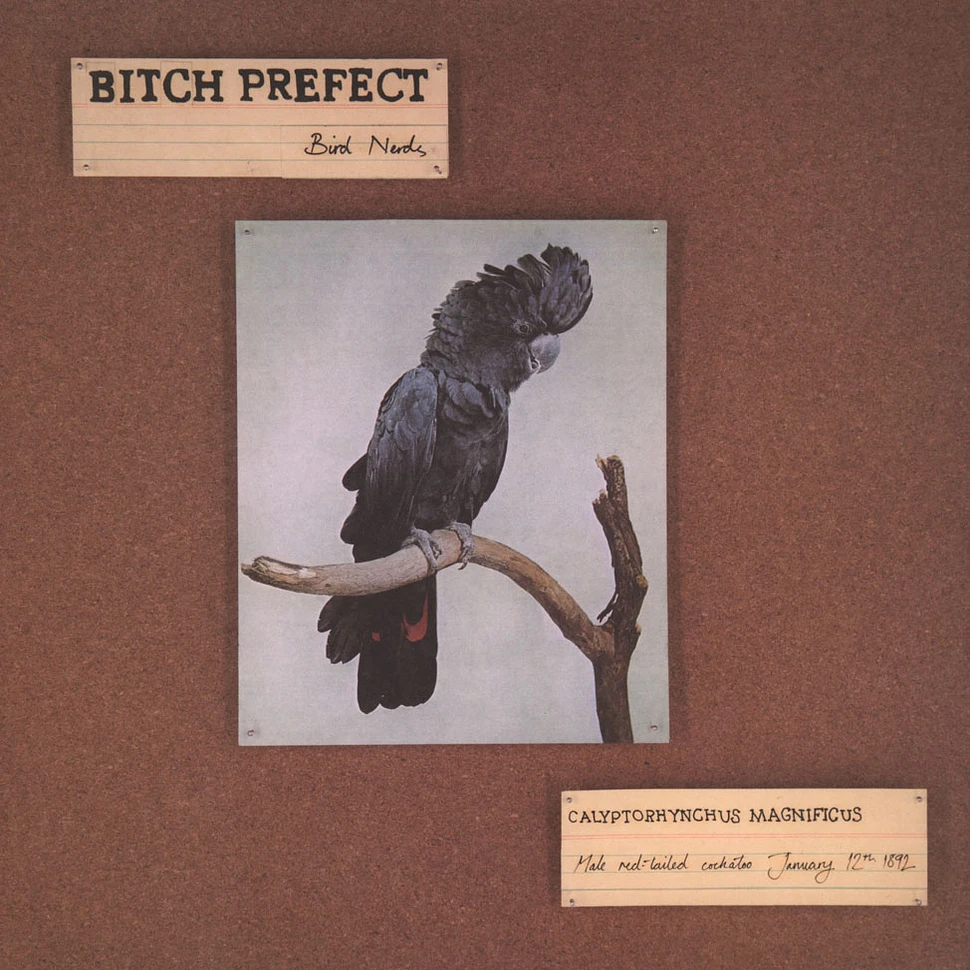 Bitch Prefect - Bird Nerds