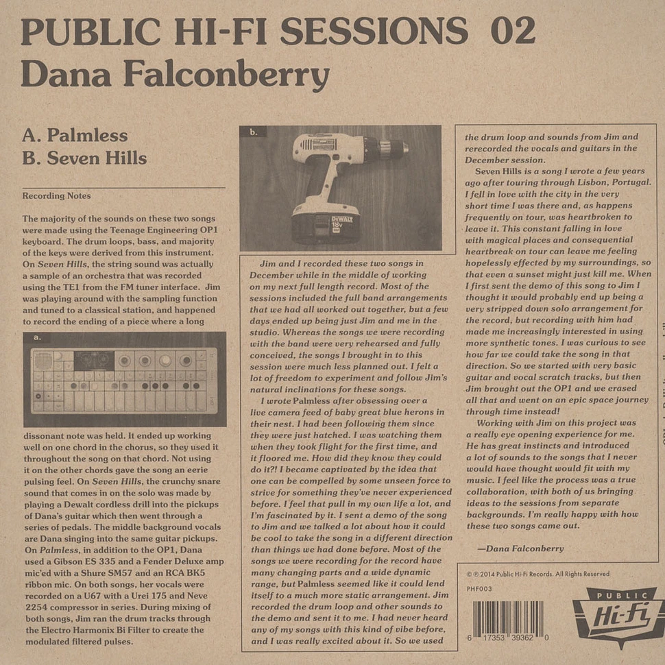 Dana Falconberry - Public Hi-Fi Sessions 02