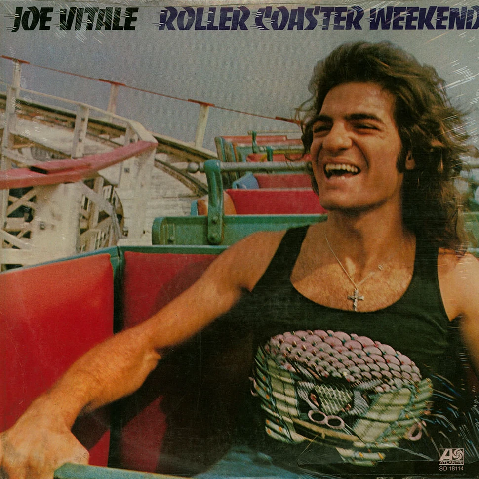 Joe Vitale - Roller Coaster Weekend