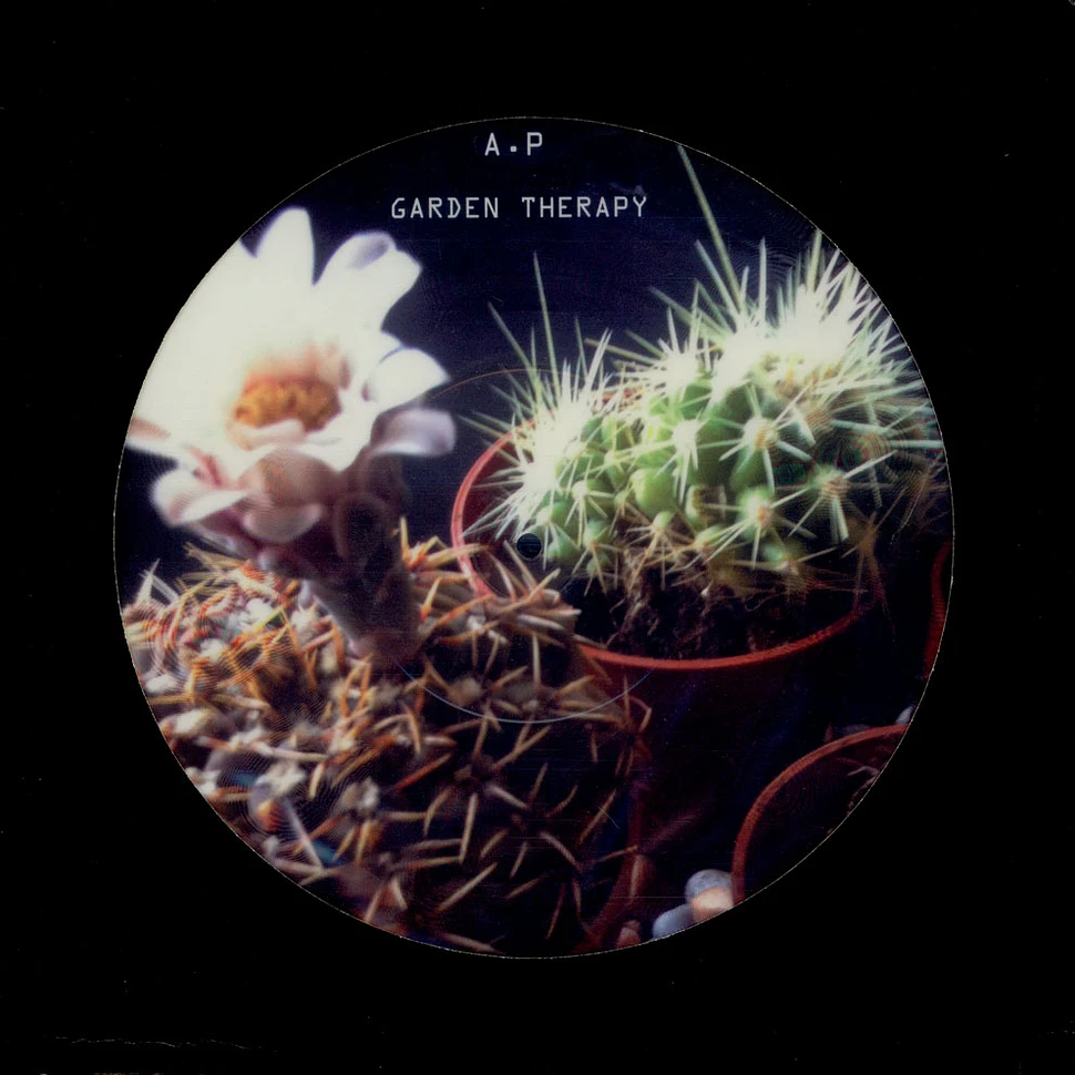 Anders Peterson - Garden Therapy