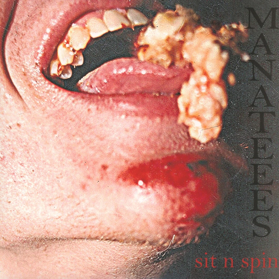 Manateees - Sit N Spin