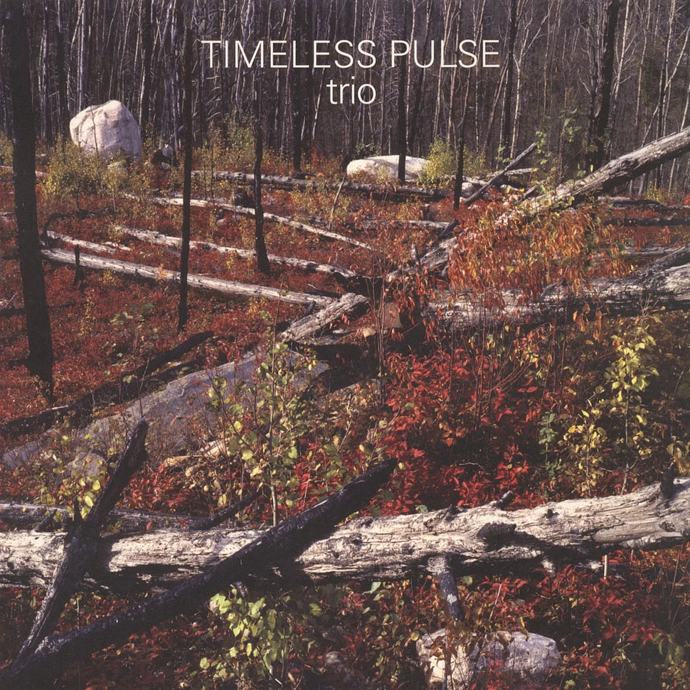 Timeless Pulse - Trio