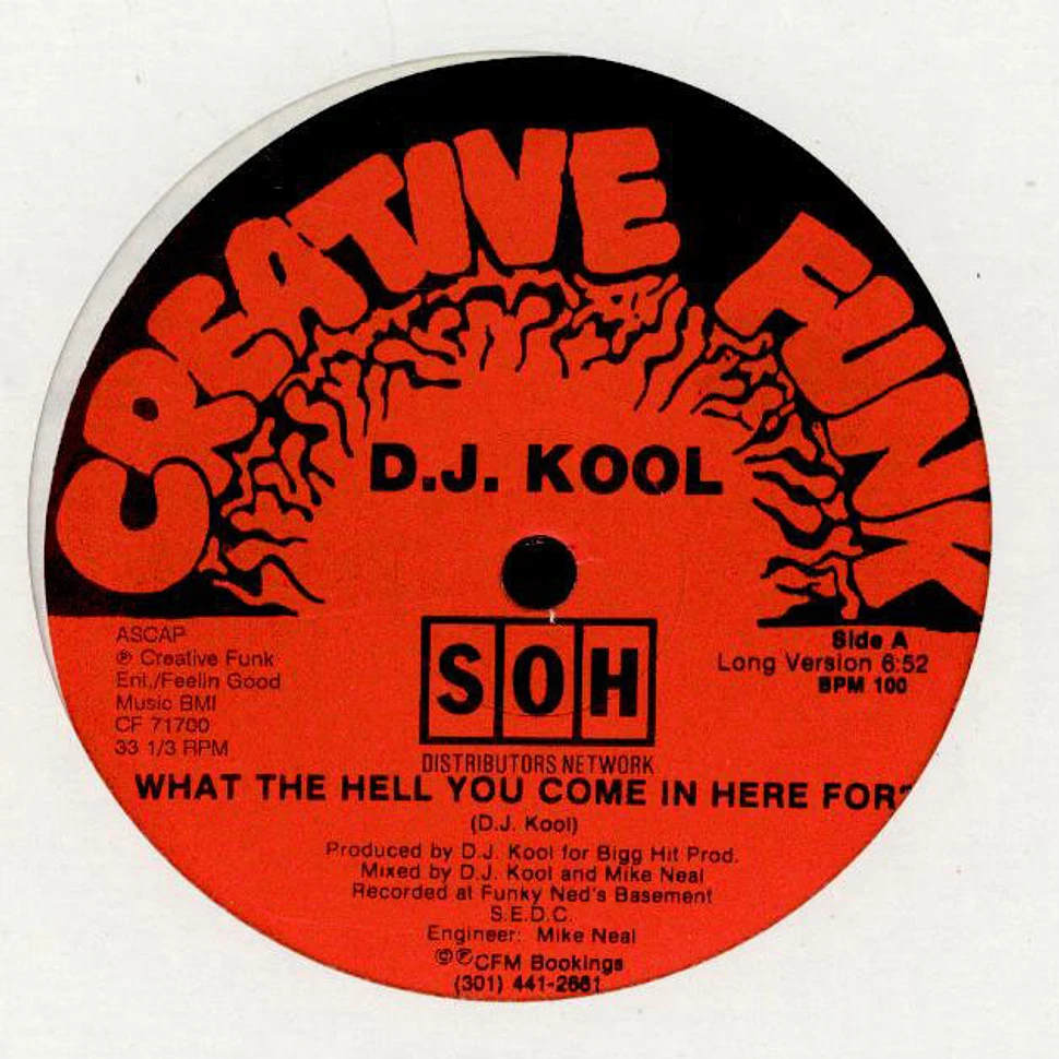 DJ Kool - What The Hell You Come In Here For?