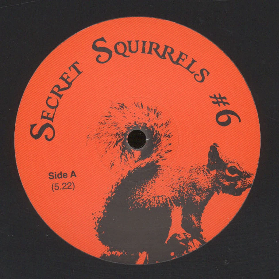 Secret Squirrels - #6