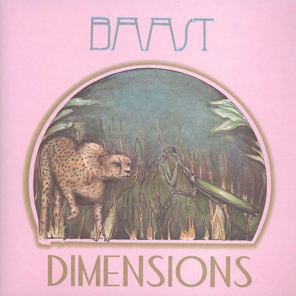 Baast - Dimensions