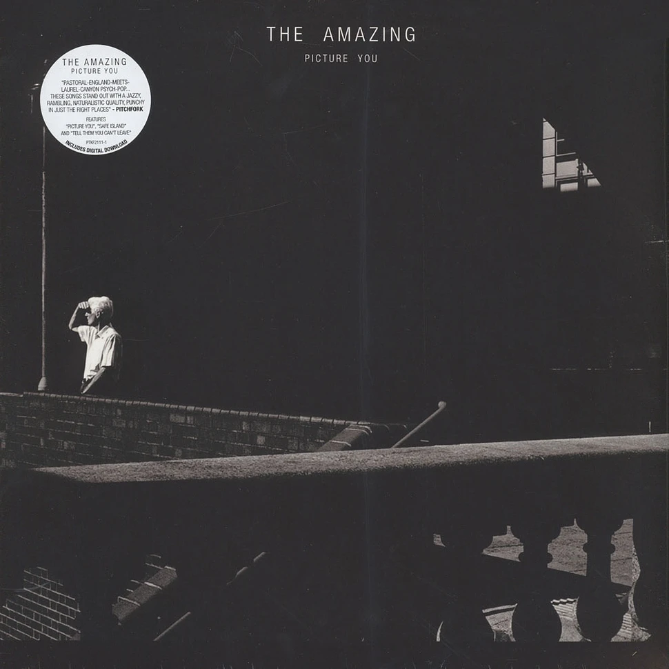 The Amazing - Picture You