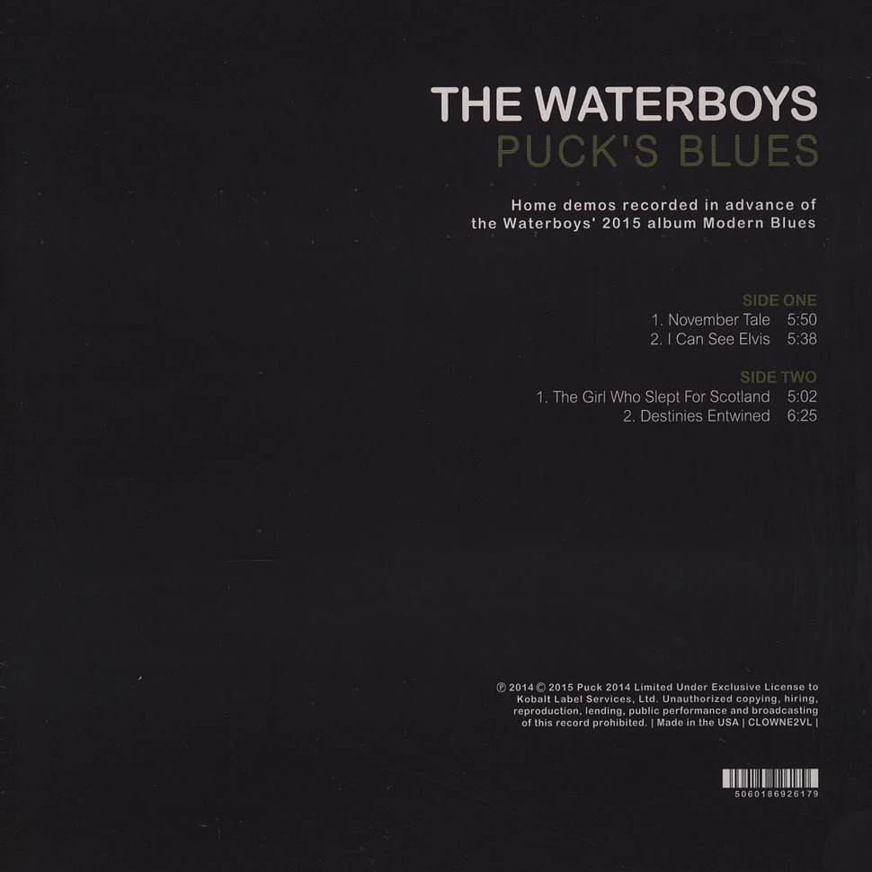 The Waterboys - Puck's Blues