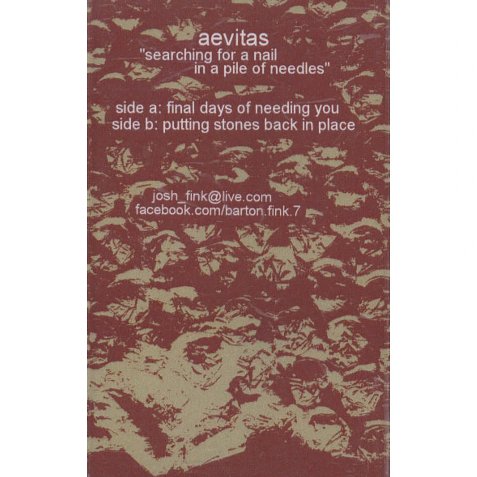 Aevitas - Searching For A Nail In A Pile Of Needles