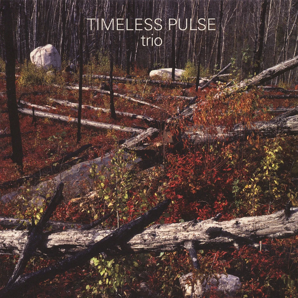 Timeless Pulse Trio - Timeless Pulse Trio