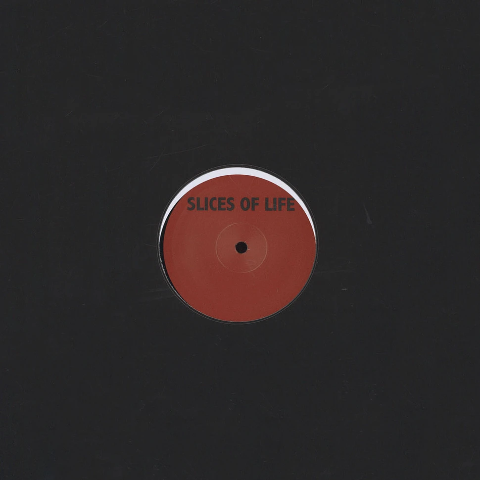 Sistol (Vladislav Delay) / Pole / Mike Huckaby - The S Y N T H Remixes