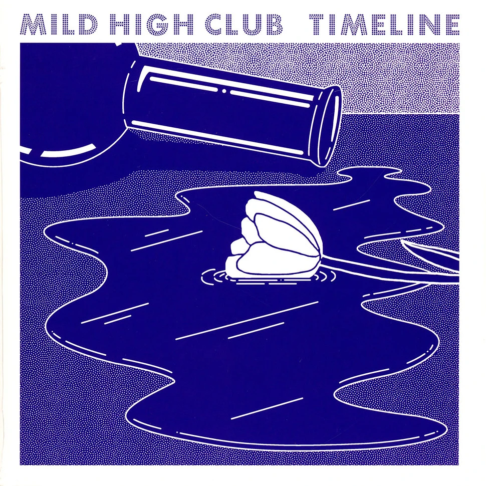 The Mild High Club - Timeline