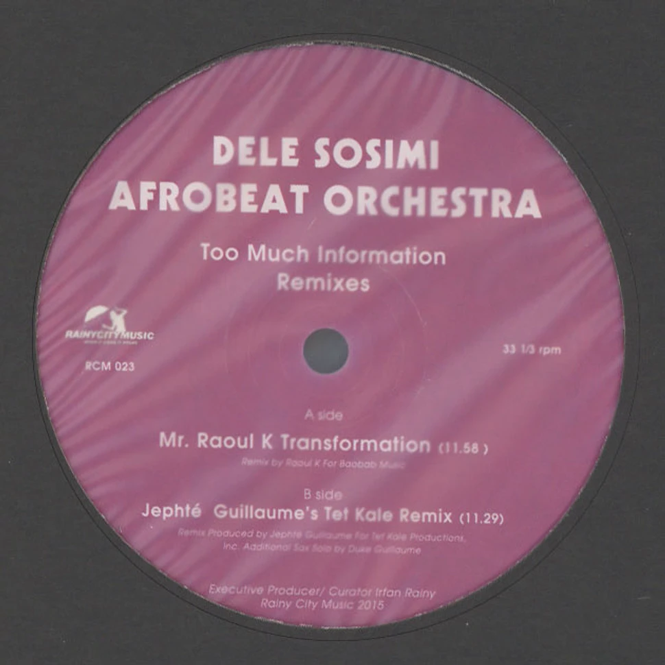 Dele Sosimi Afro Beat Orchestra - Too Much Information Remixes