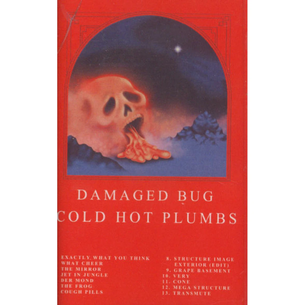 Damaged Bug (John Dwyer of Thee Oh Sees) - Cold Hot Plumbs