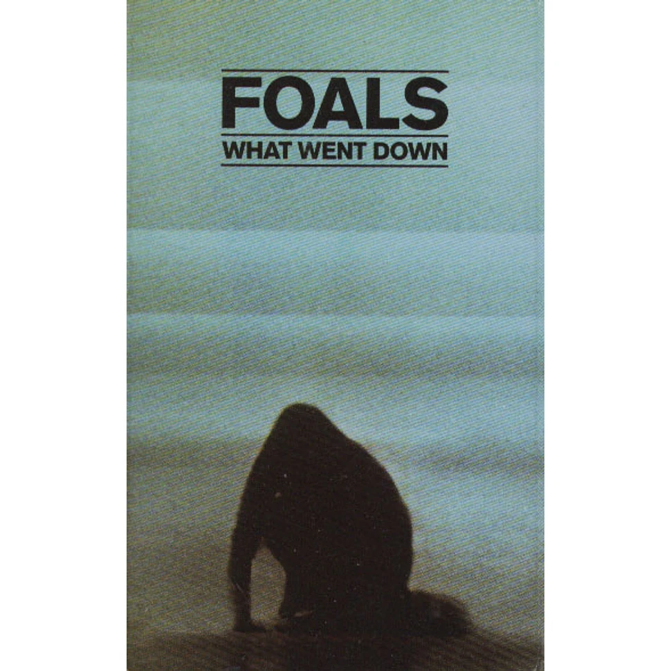 Foals - What Went Down