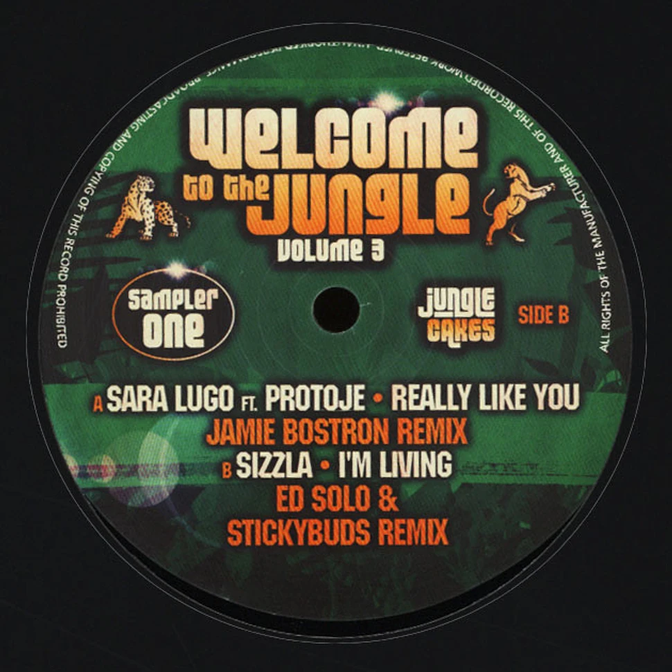 V.A. - Welcome To The Jungle Volume 3 Sampler 1