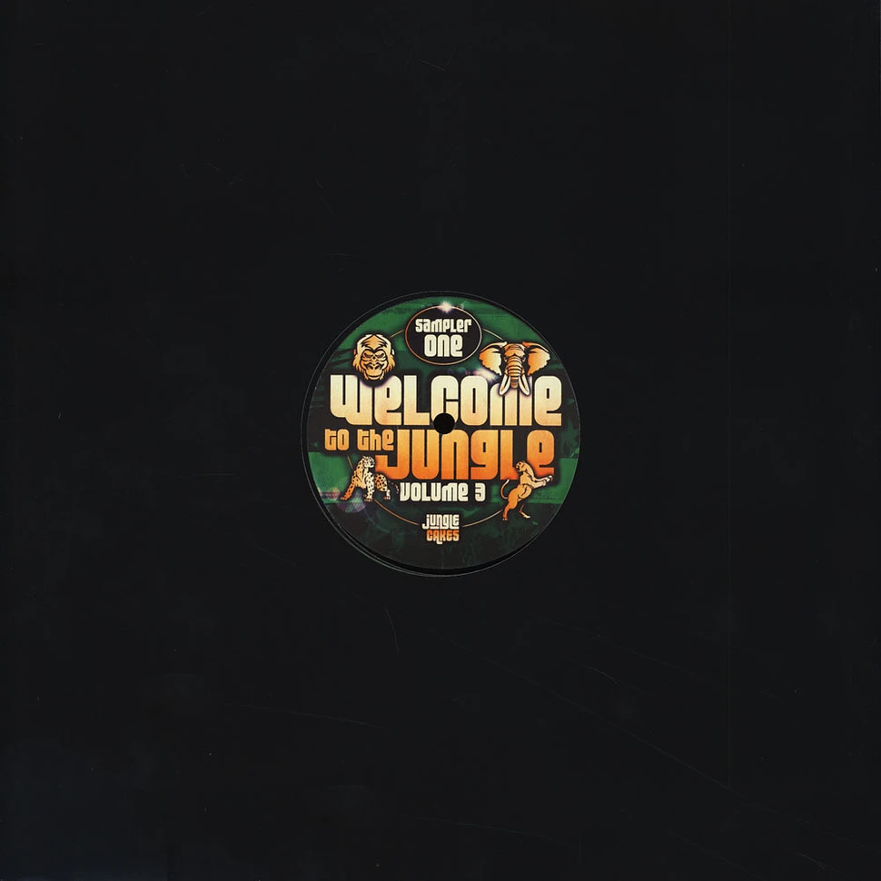 V.A. - Welcome To The Jungle Volume 3 Sampler 1